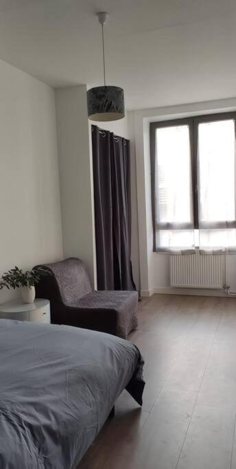 شقة Logement 5 Personnes Proche Cv Et Parking Prive سانت إتيان المظهر الخارجي الصورة