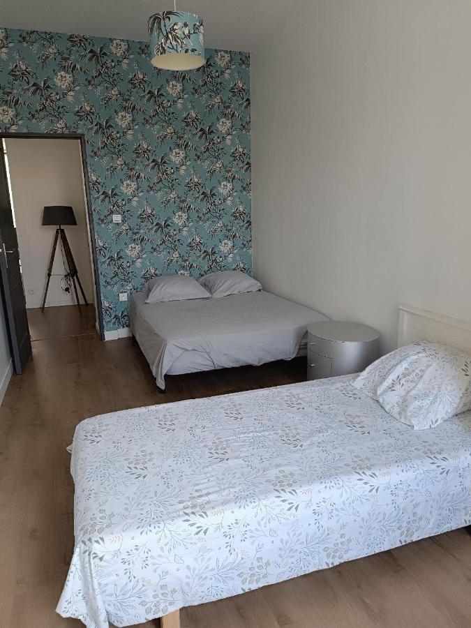 شقة Logement 5 Personnes Proche Cv Et Parking Prive سانت إتيان المظهر الخارجي الصورة